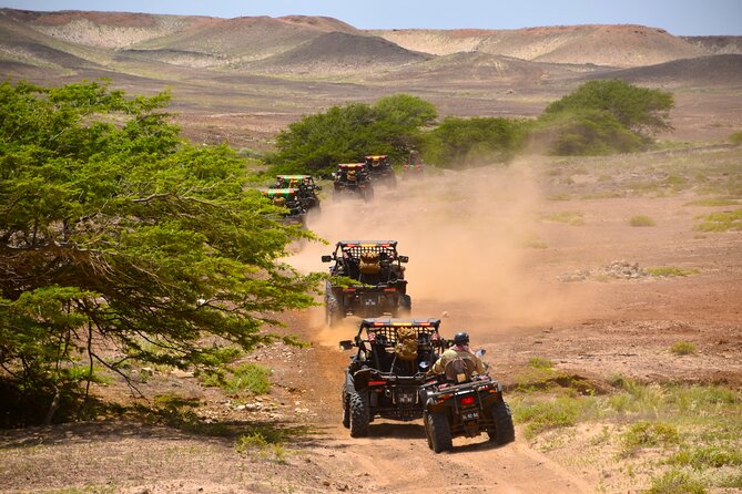 4h SSV Buggy Island Adventure - 1000cc or 500cc - Murdeira and Serra Negra: the southern start