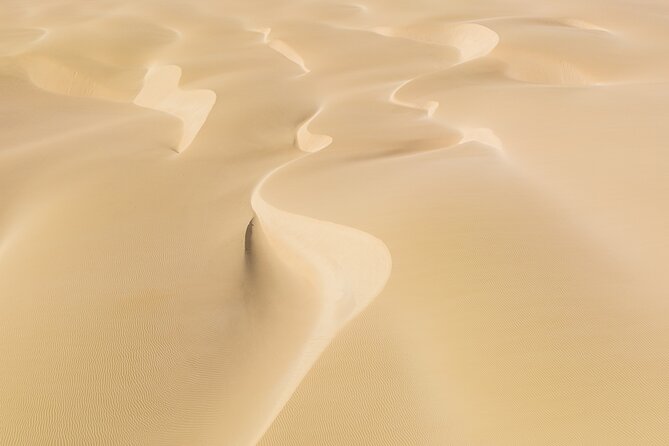 4WD Boa Vista group day tour south and north with sandboarding - Why this tour works as a Boa Vista introduction