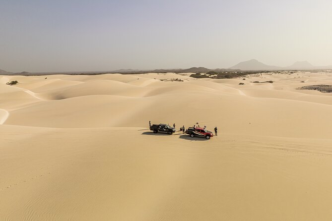 4WD Boa Vista group day tour south and north with sandboarding - Turtlebay offers a quieter wildlife stop