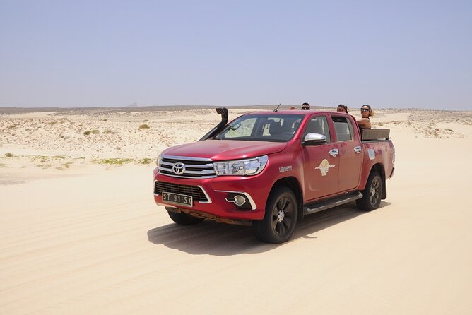 4x4 Tour - Sandboard, Shark & Green Turtle's Bay, Snacks & Drinks - What the Guides Add to the Morning