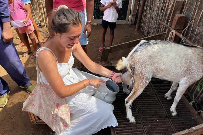 ALL-INCLUSSIVE Cabrer Journey-Live a day like a Cabrer-BoaVista - Why this morning feels different from a beach excursion