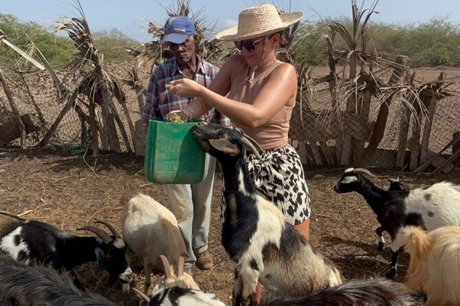 ALL-INCLUSSIVE Cabrer Journey-Live a day like a Cabrer-BoaVista - Who will enjoy this Boa Vista experience?