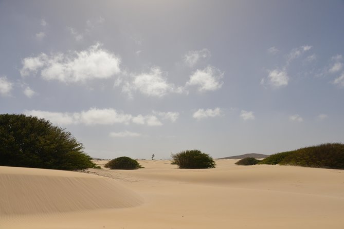 Big Boa Vista Exclusive Tour - Praia de Varandinha’s cliffs and caves