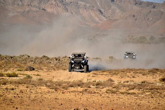 Boa Vista 2h Buggy Death Valley Adventure 1000cc - Who will enjoy this most?