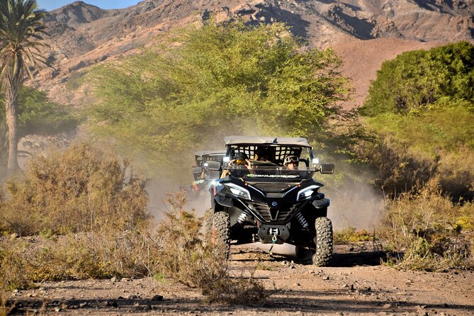 Boa Vista 2h Buggy Death Valley Adventure 1000cc - Timing, pickup, and group size