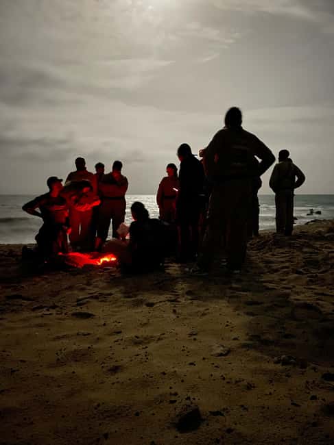 Boa Vista: 3h Turtle Watching Expedition - Watching turtles at Pesqueiro Grande after dark