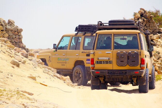 Boa Vista: 4h North Jeep Expedition Off-Road - Guide style and group size