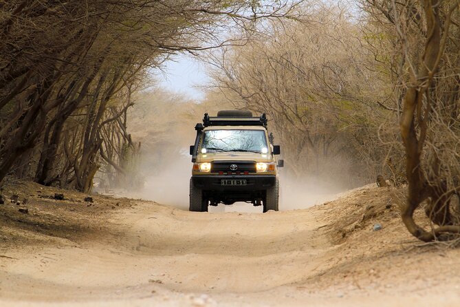 Boa Vista: 4h North Jeep Expedition Off-Road - Ponta do Sol and the view toward southern Boa Vista