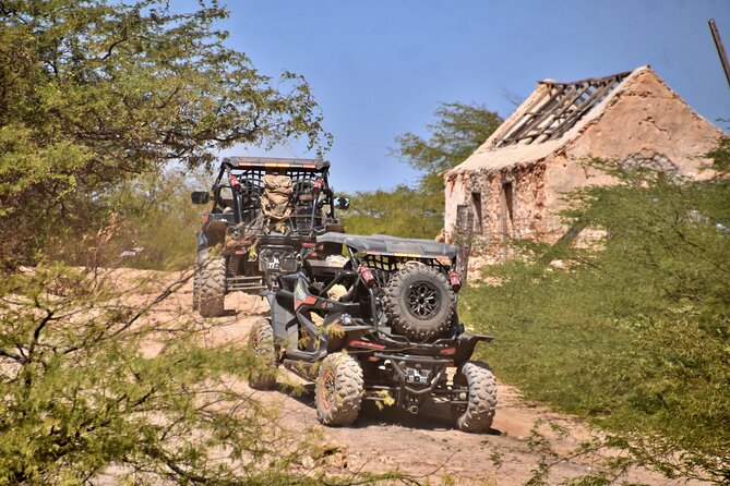Boa Vista 4h South Buggy Adventure 1000cc - Praia de Chaves and the old chimney