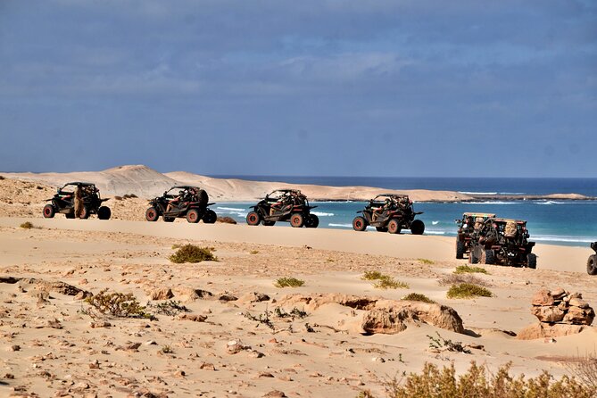 Boa Vista 4h South Buggy Adventure 1000cc - What the price means for two people