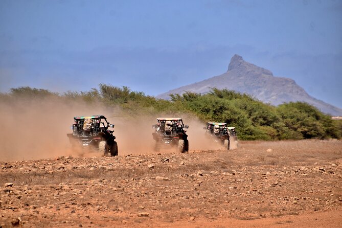 Boa Vista 4h South Buggy Adventure 1000cc - Who should book this buggy adventure