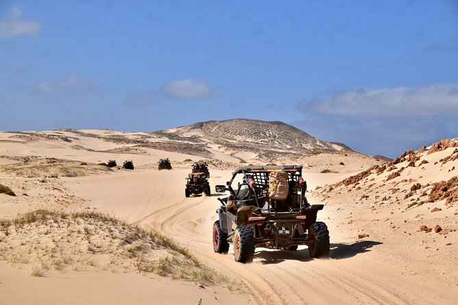 Boa Vista 4h South Buggy Adventure 1000cc - Praia de Verandinha and the natural arch