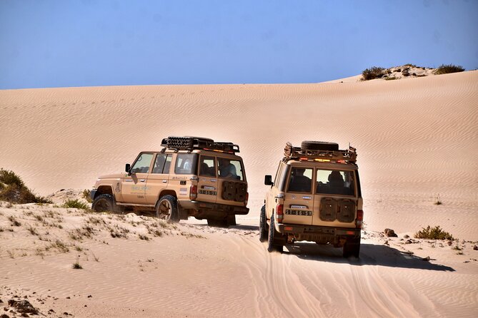 Boa Vista: 4h South Jeep Expedition Off-Road - Morro de Areia and the pleasure of the rough tracks