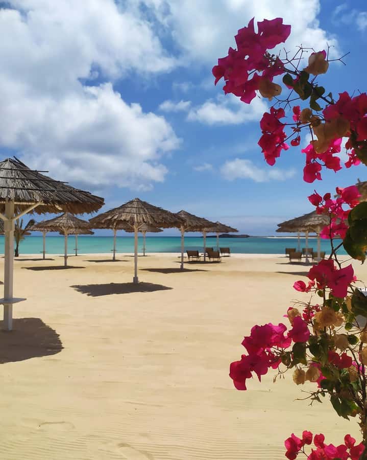 Boa Vista: Beautiful Beaches, Turtles & Djeu Island Snorkel - Why this seven-hour tour works so well