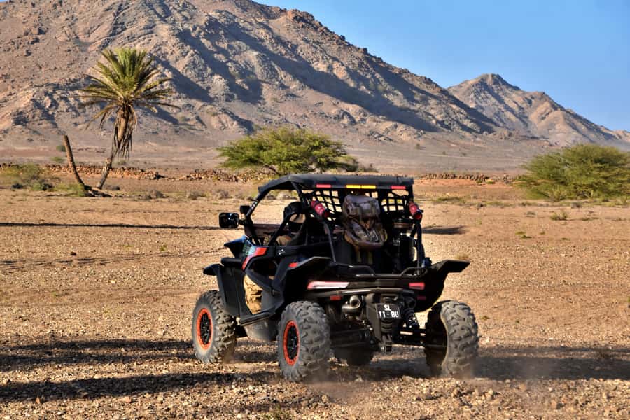 Boa Vista Buggy Tour: Death Valley Adventure (2-Hour) - Fonte Vicente and the baobab tree