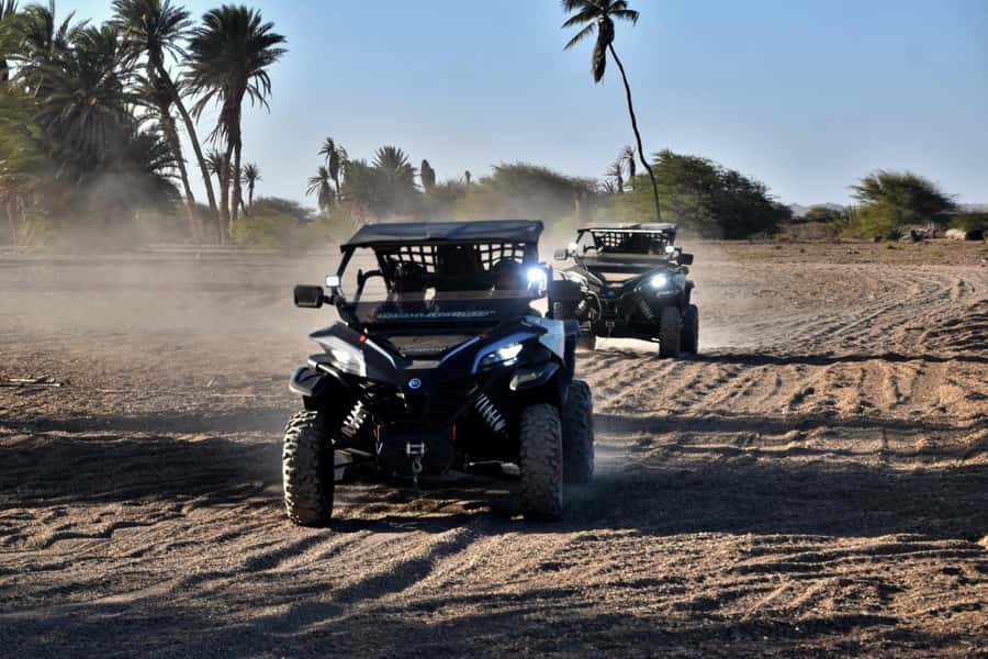 Boa Vista Buggy Tour: Death Valley Adventure (2-Hour) - What the guide service adds to the ride