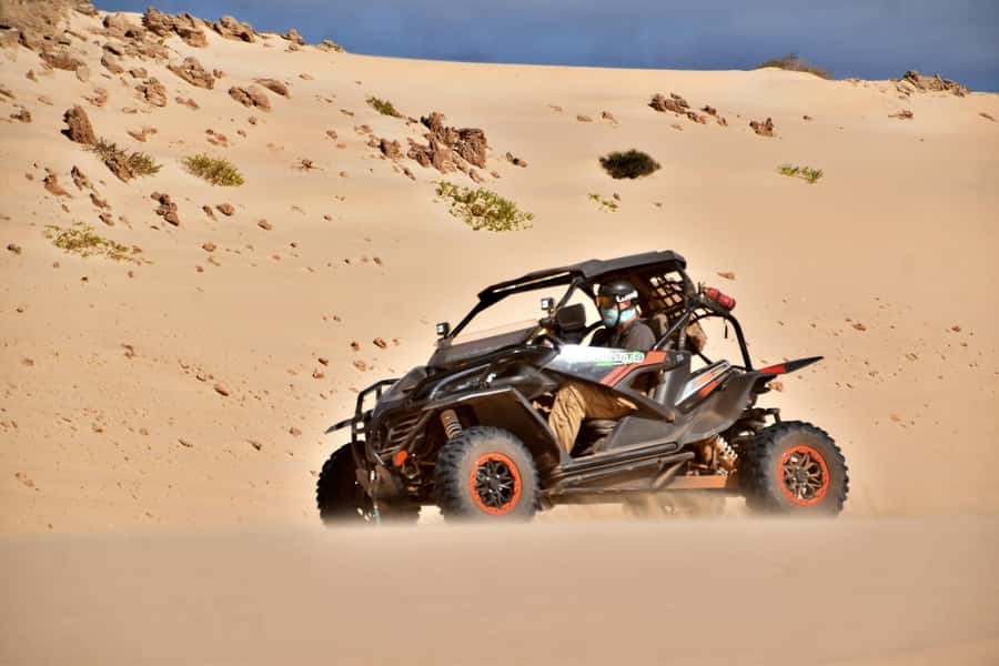 Boa Vista Buggy Tour: Santa Monica & South Desert (4-Hour) - Santa Monica Beach, 22 kilometers of open coast