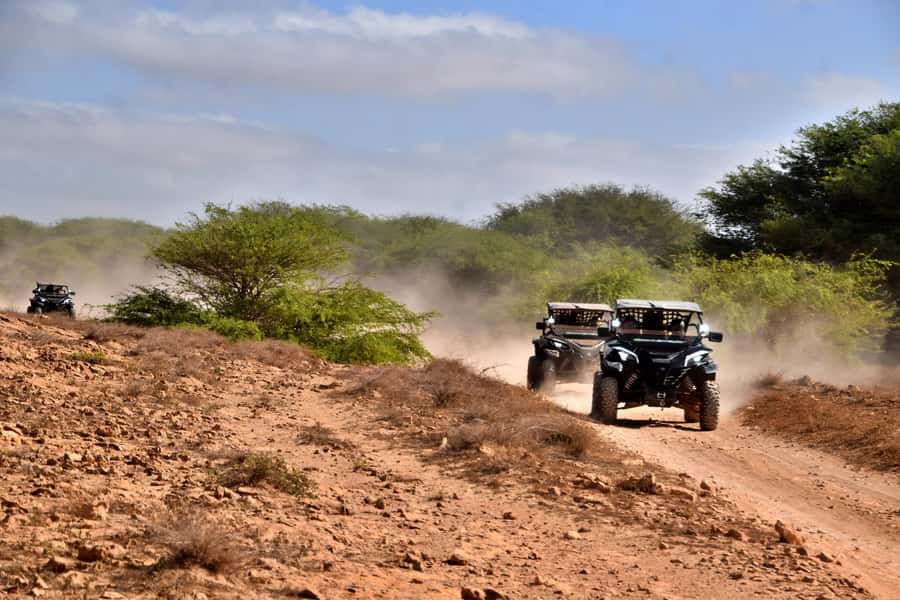 Boa Vista Buggy Tour: Santa Monica & South Desert (4-Hour) - Boca Beach and the practical pause