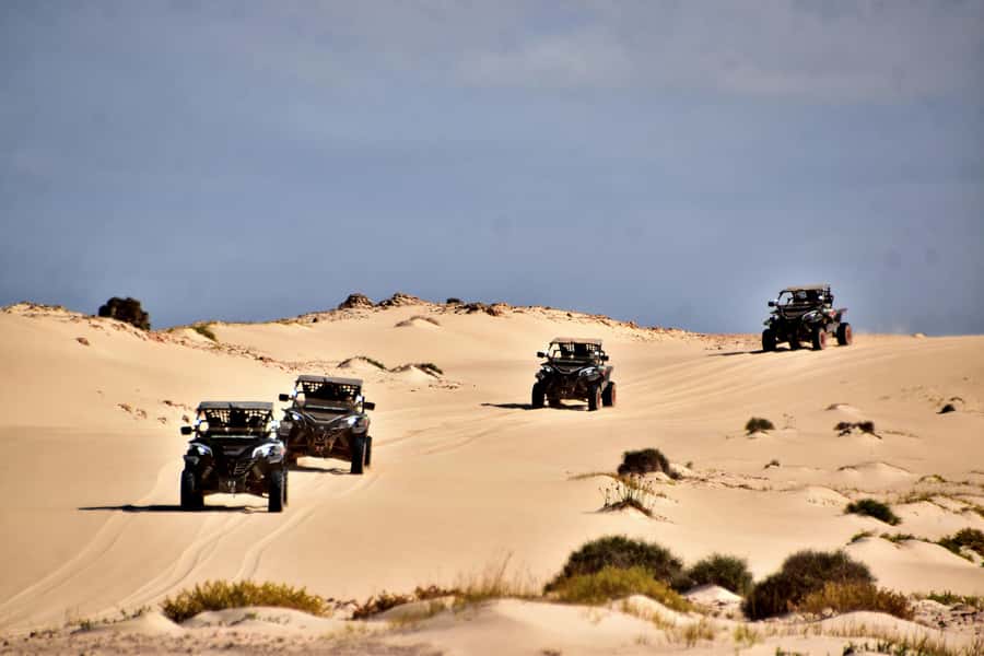 Boa Vista Buggy Tour: Santa Monica & South Desert (4-Hour) - What the guides and group format add
