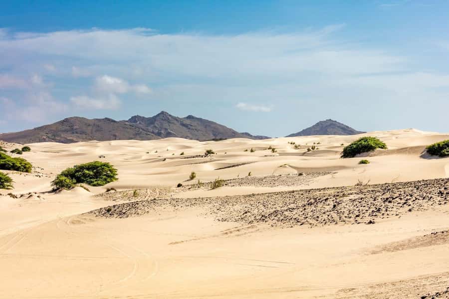 Boa Vista Full Day 4x4 Island Tour with Beachfront Lunch - Key points at a glance