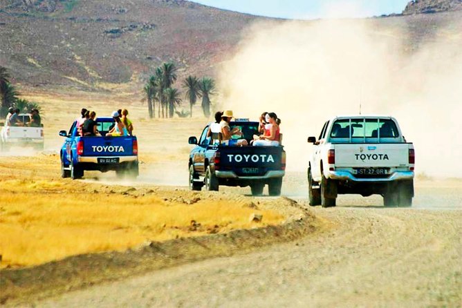 Boa Vista Island: 4-Hour Rabil, Viana Desert & Shipwreck Tour - The guide can make or break the outing