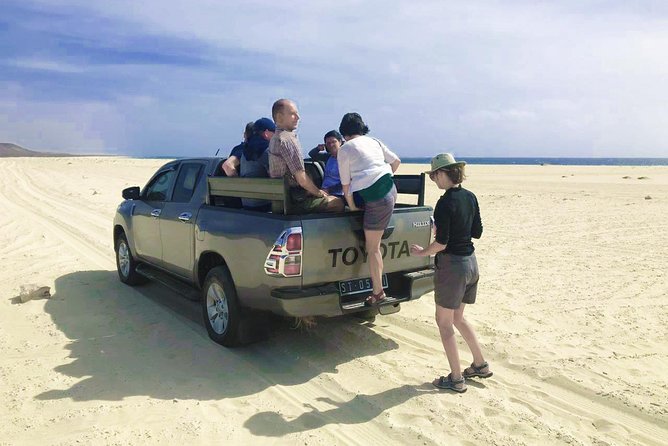 Boa Vista Island: 4-Hour Rabil, Viana Desert & Shipwreck Tour - What the 4x4 and small group mean for you