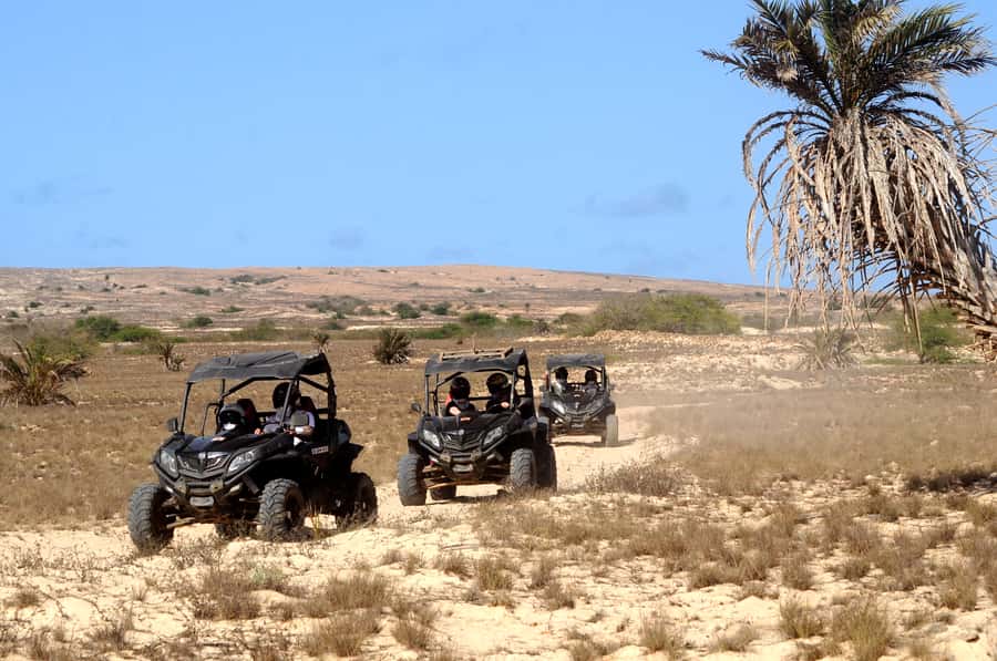 Boa Vista Island: Dunes, Desert &Sal Rei 4WD Buggy Adventure - Who should book this Boa Vista buggy trip?