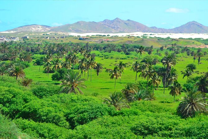 Boa Vista Island: Full-Day Wild Beaches & Viana Desert Experience - Curral Velho, a village left behind