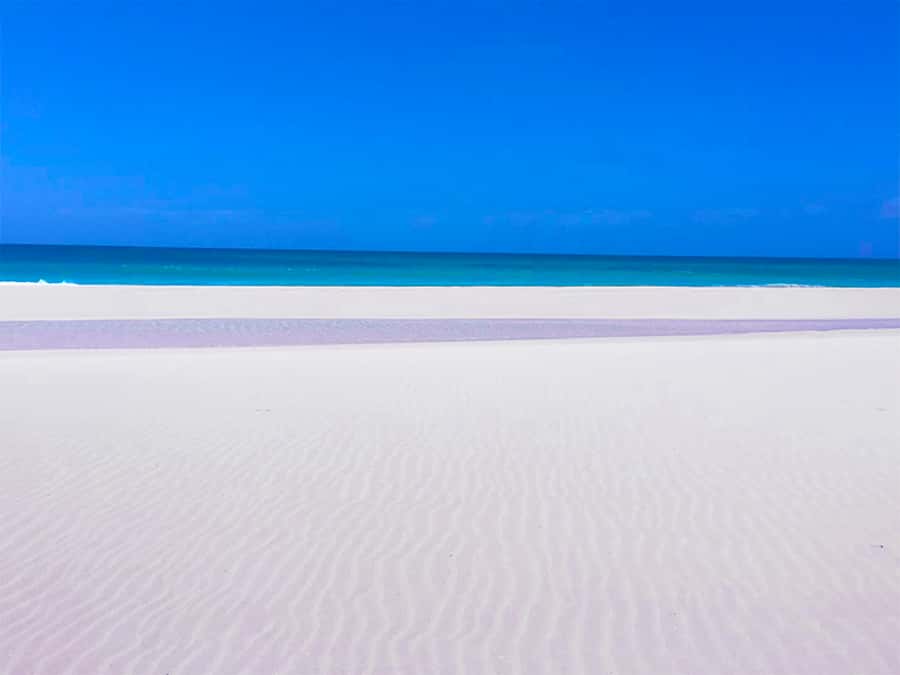 Boa Vista Island: Guided Santa Monica Beach & Caves Tour - Why Santa Monica Beach deserves the headline