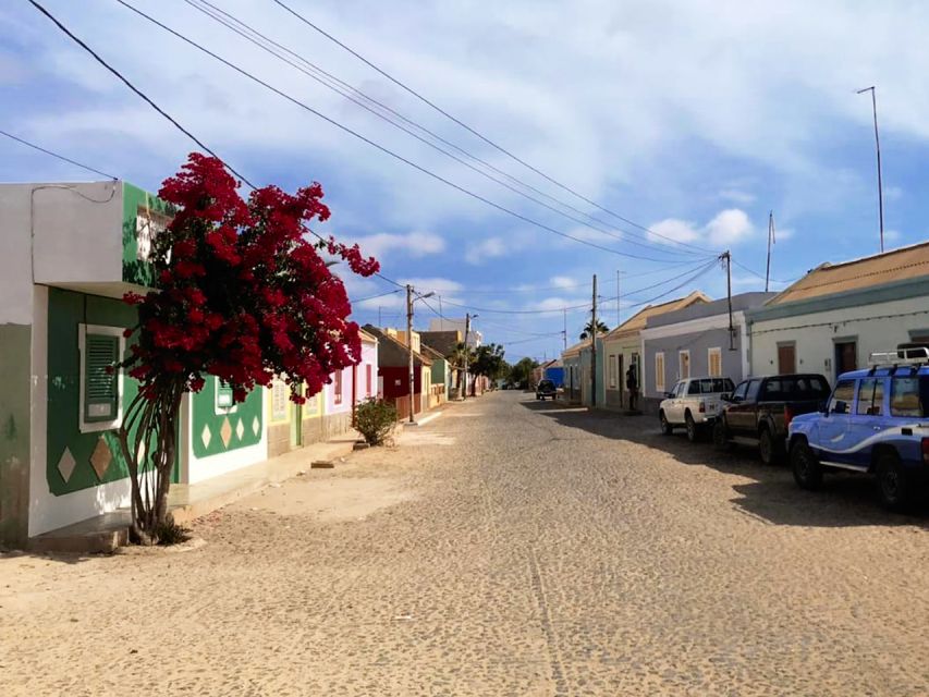 Boa Vista Island: Guided Santa Monica Beach & Caves Tour - What the 4x4 ride is really like