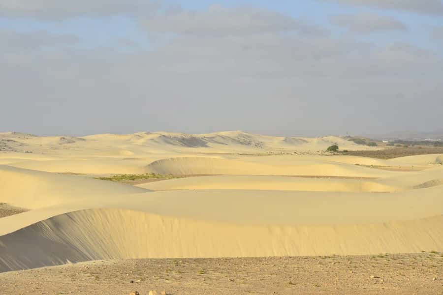 Boa Vista Island: Northwest & Deserto de Viana 4x4 Adventure - The Deserto de Viana is the visual centerpiece