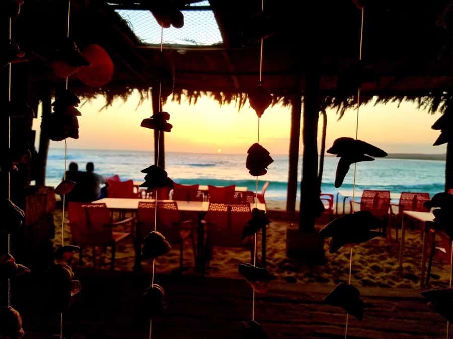 Boa Vista: Lobster Lunch at Santa Monica Beach - Why this is more than a seafood stop