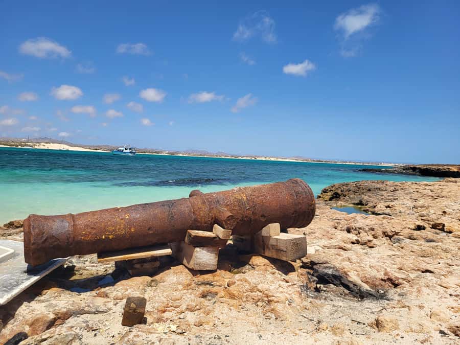 Boa Vista: Motoryacht Trip with Fishing, Snorkel, Beach BBQ - What the ratings suggest about the experience