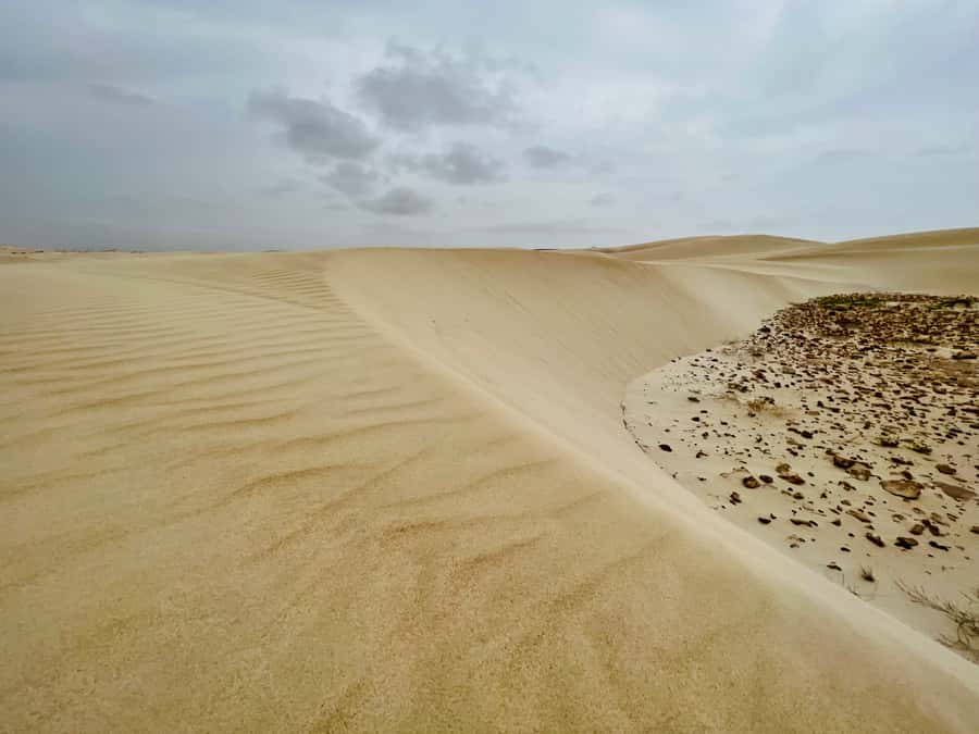 Boa Vista Mystical Wonders: Santa Monica Beach and Caves - Key points at a glance