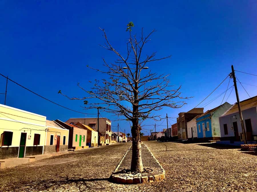 Boa Vista: Santa Monica, Dunes, Caves and Village 4x4 Tour - Is $76 good value for four hours?
