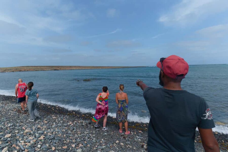 Boa Vista: Snorkeling at Gatas Bay & North East Tour - The Guides Make a Real Difference