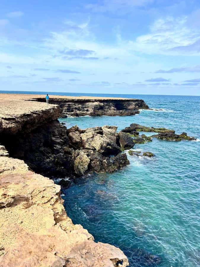 Boa Vista: Turtles, Sharks, City of Sal Rei, Santa Monica Beach, Shipwreck ... - Varandinha’s caves, seabirds, and photo stops