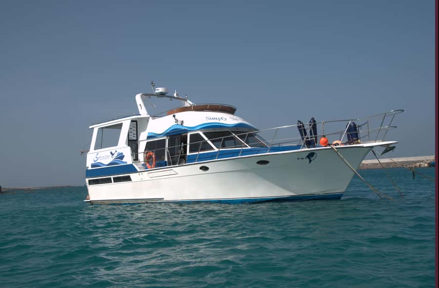 Boa Vista: Whale Watching Trip with Motoryacht - The three-hour search for humpbacks