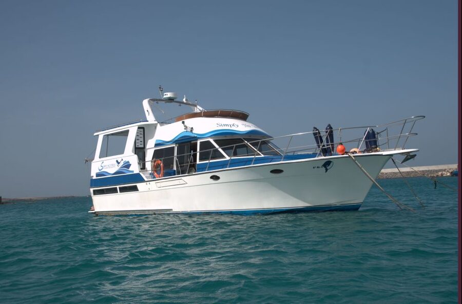 Boa Vista: Whale Watching Trip with Motoryacht - Who should book this Boa Vista whale trip
