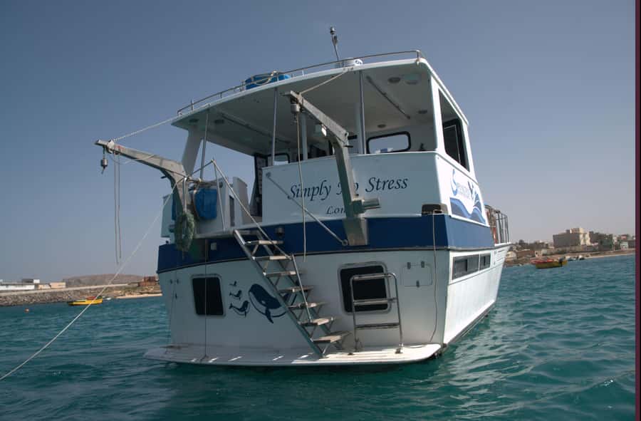 Boa Vista: Whale Watching Trip with Motoryacht - The biggest strengths of the experience