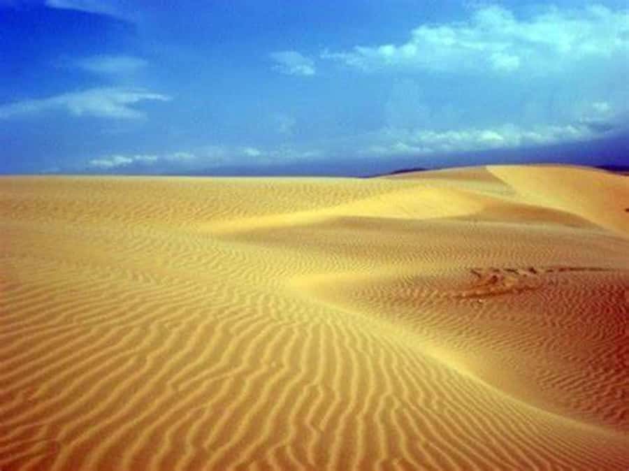 Boavista: 4h Shipwreck, Desert, Fatima Chapel & Pottery Tour - Key points at a glance