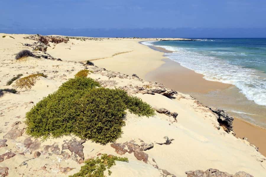 Boavista: 4h Shipwreck, Desert, Fatima Chapel & Pottery Tour - Why this route works well in four hours