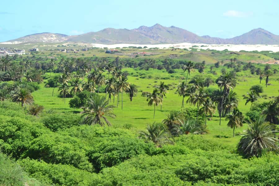 Boavista: Rabil, Shipwreck, City, Snacks & Drinks - 4x4 Tour - Key points to know before you book