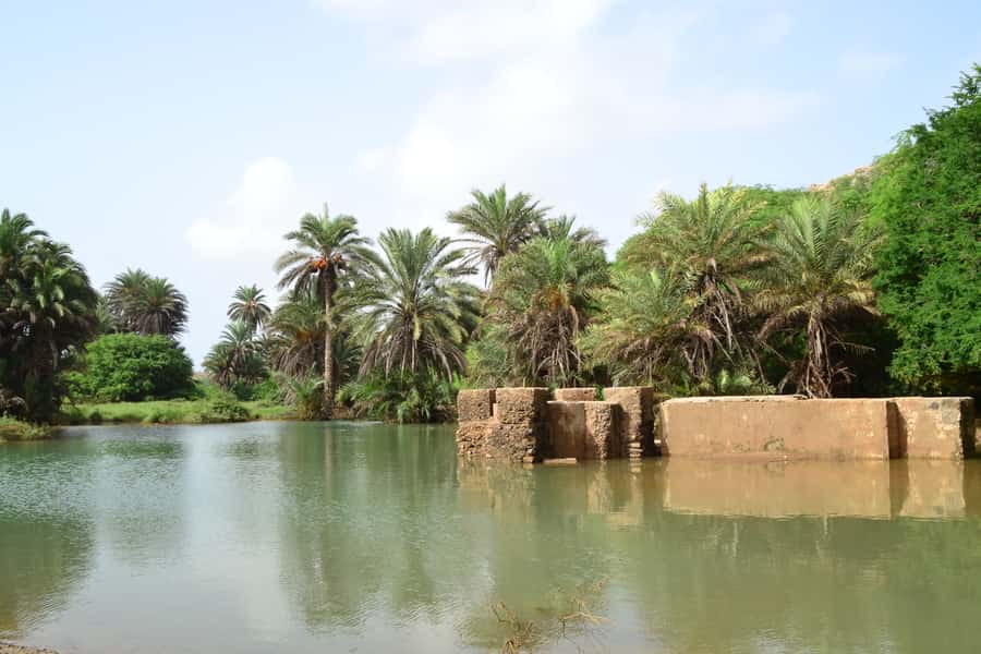 Boavista: Rabil, Shipwreck, City, Snacks & Drinks - 4x4 Tour - Is $76 a fair price?