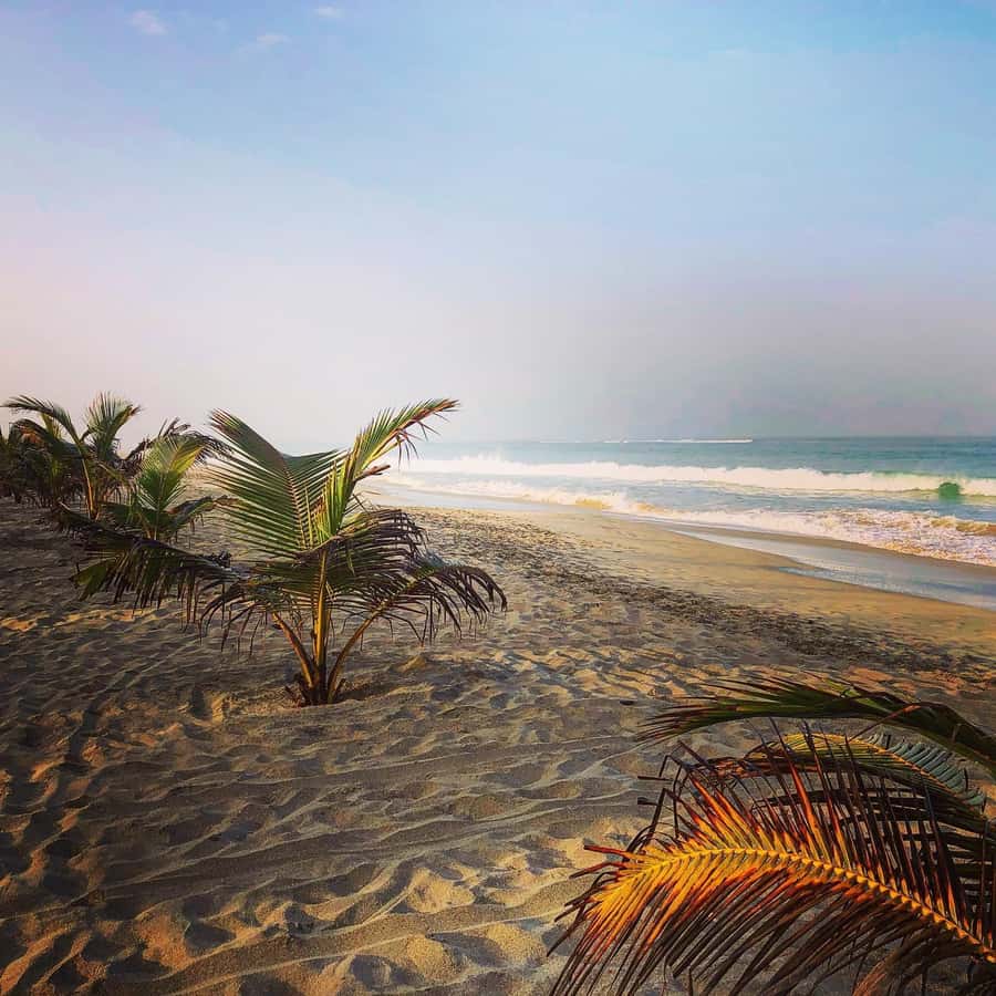 Boavista: Santa Monica beach, Varandinha cave, Sand dunes - Santa Monica Beach deserves the longest look