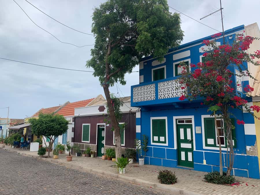 Boavista: Traditional & Local Experience Tour - Bofareira and the farm animals