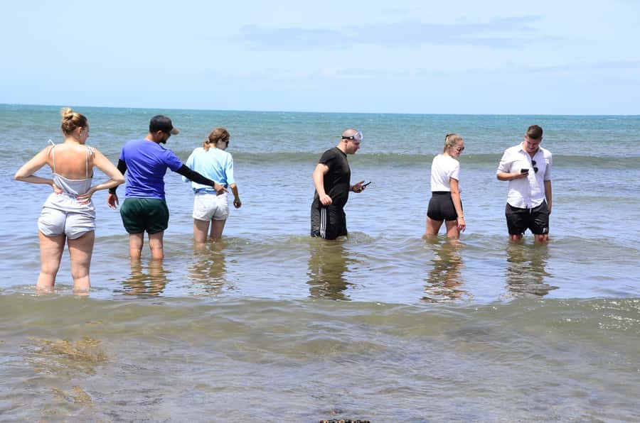 Boavista: Turtle, Shark, Santa Monica, Sandboard & Tasting - Turtle Bay and the reality of wildlife watching