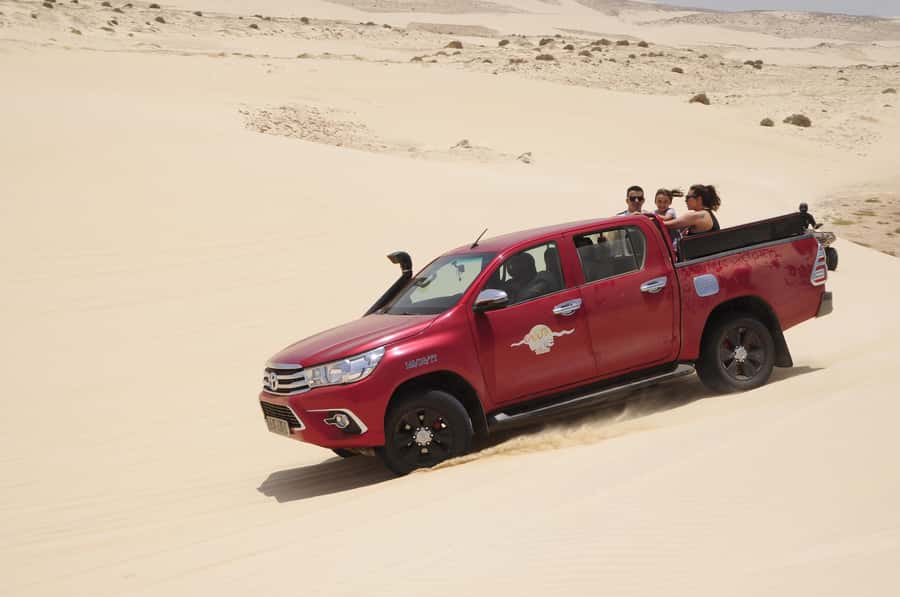 Boavista: Turtle, Shark, Santa Monica, Sandboard & Tasting - The guides make the difference
