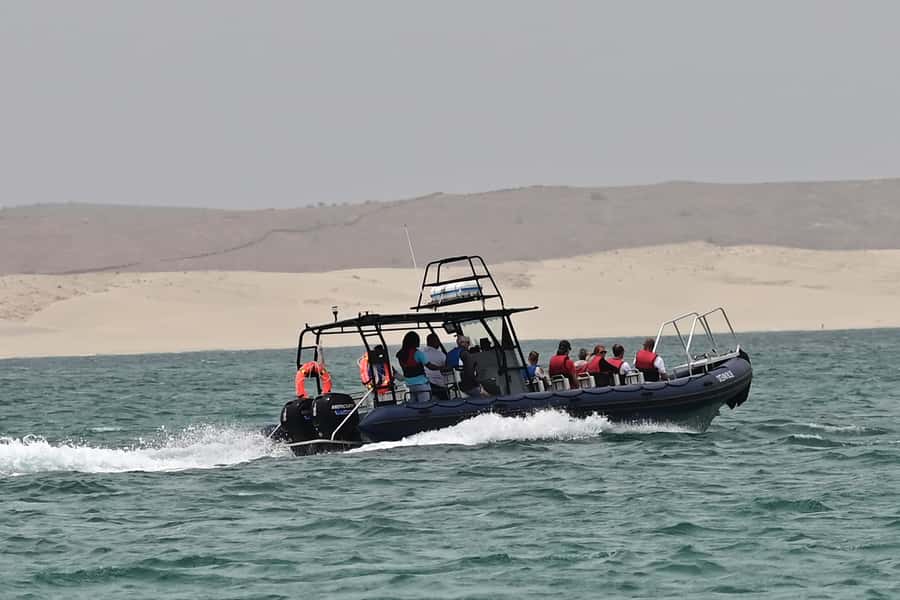 Boavista: Whale Watching half day trip - What makes the biologist guide useful