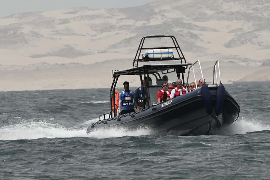Boavista: Whale Watching half day trip - Choosing the right month